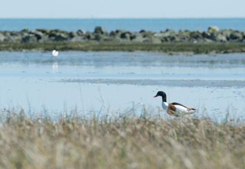 Nach die Watteninseln