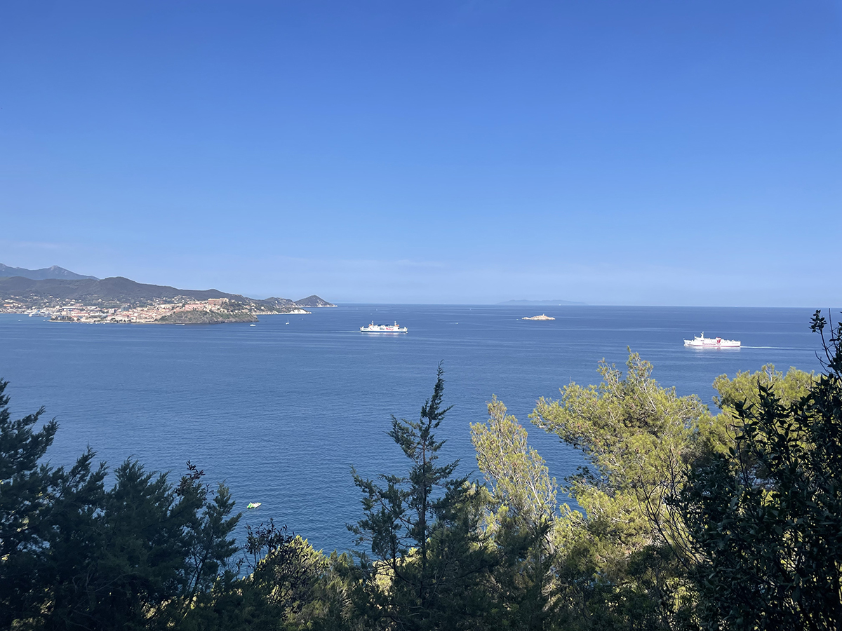 Zwei Fähren auf ruhiger See vor Portoferraio, zwischen den Pinien hindurch gesehen