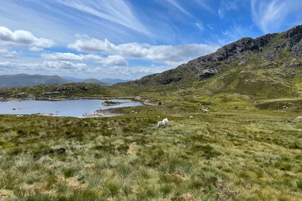 Wandern in Wales