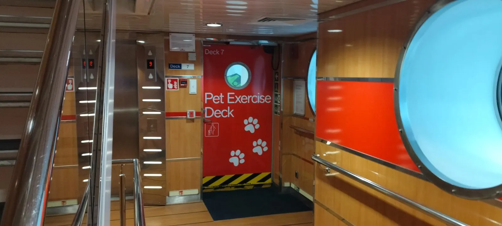 Eine rote Tür mit weißen Pfotenabdrücken und der Aufschrift Pet Exercise Deck am Ende eines Gangs auf Deck 7 einer Fähre, neben zwei Aufzugtüren