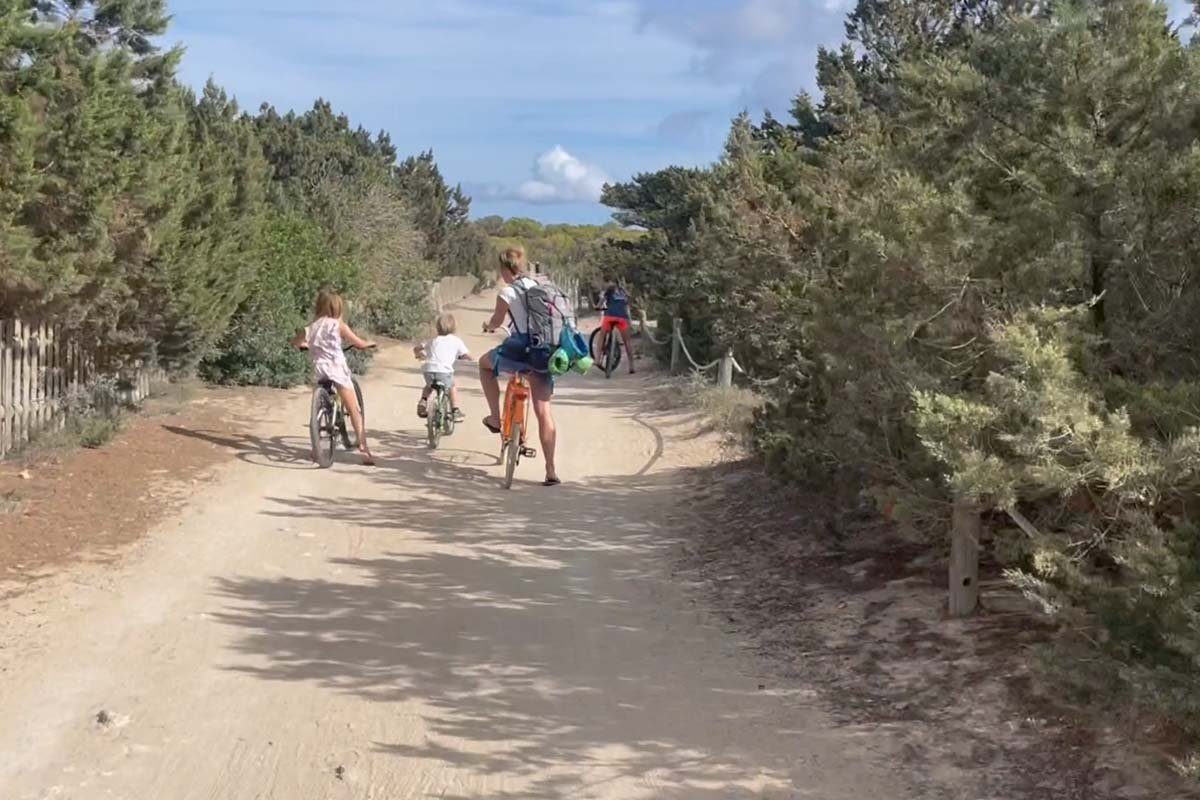 Ein Erwachsener und zwei Kinder fahren mit dem Rad über einen Sandweg zwischen niedrigen Kiefern, mit Strandtaschen am Lenker