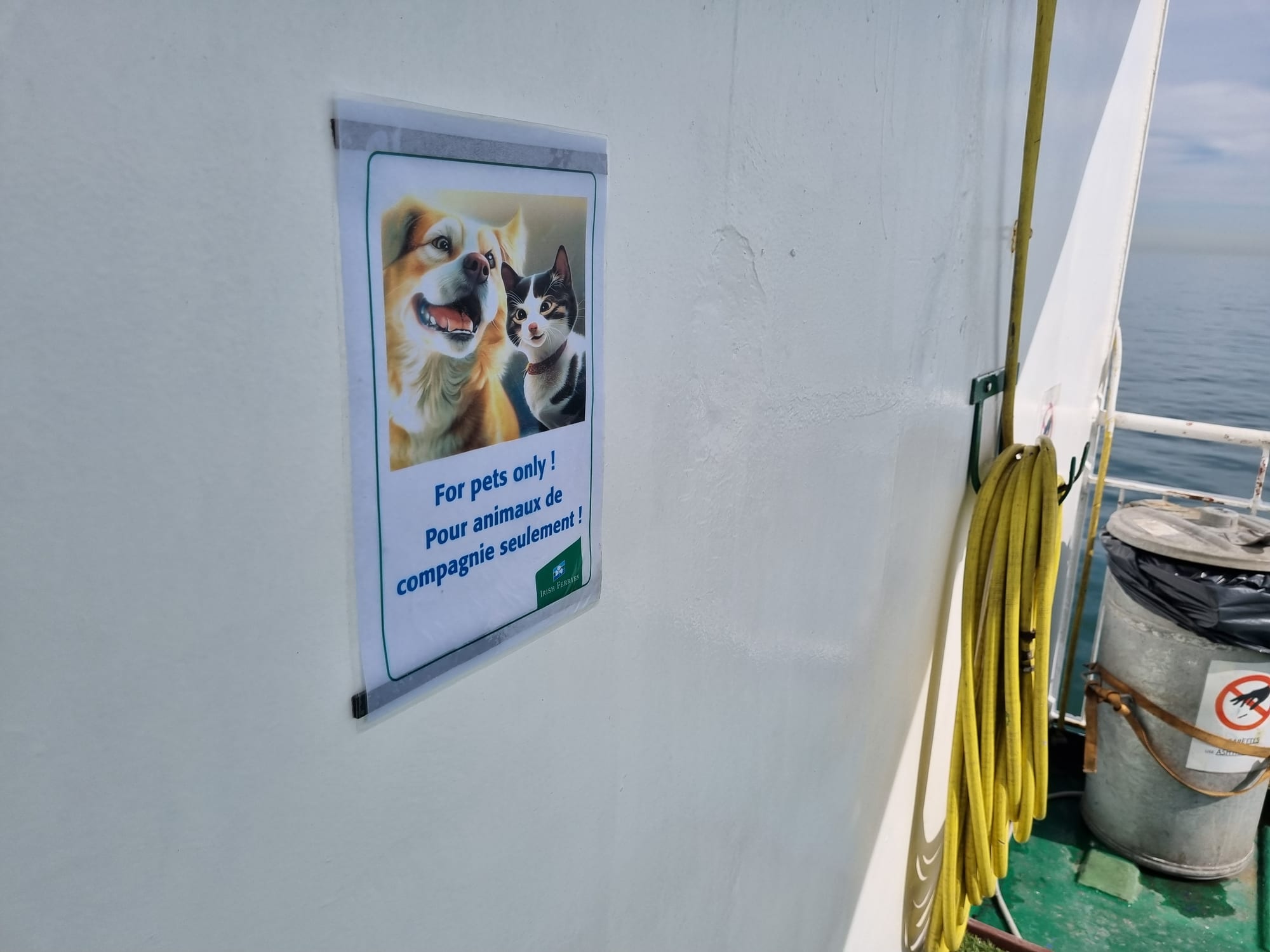 Ein Schild von Irish Ferries mit einem Hund und einer Katze und dem Text For pets only und Pour animaux de compagnie seulement, an einer weißen Wand auf dem Außendeck, neben einem gelben Gartenschlauch und einem Mülleimer